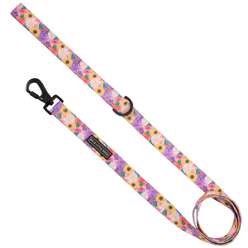 Big & Little Dogs Leash: Spring Fling small animal food rabbit pellets hamster food guinea pig snacks small pet mix