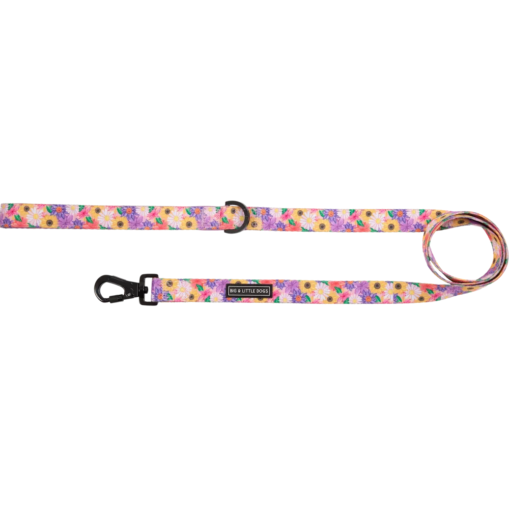 Big & Little Dogs Leash: Spring Fling