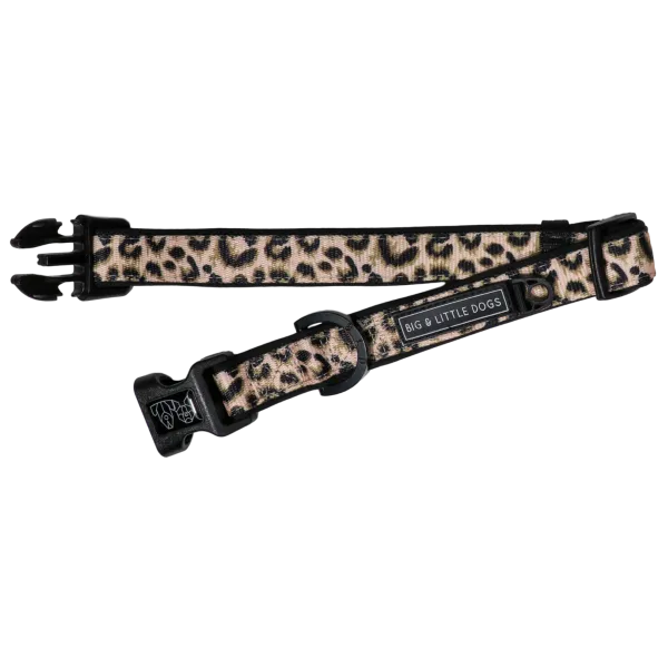 Big & Little Dogs Luxurious Leopard Collar & Bow Tie