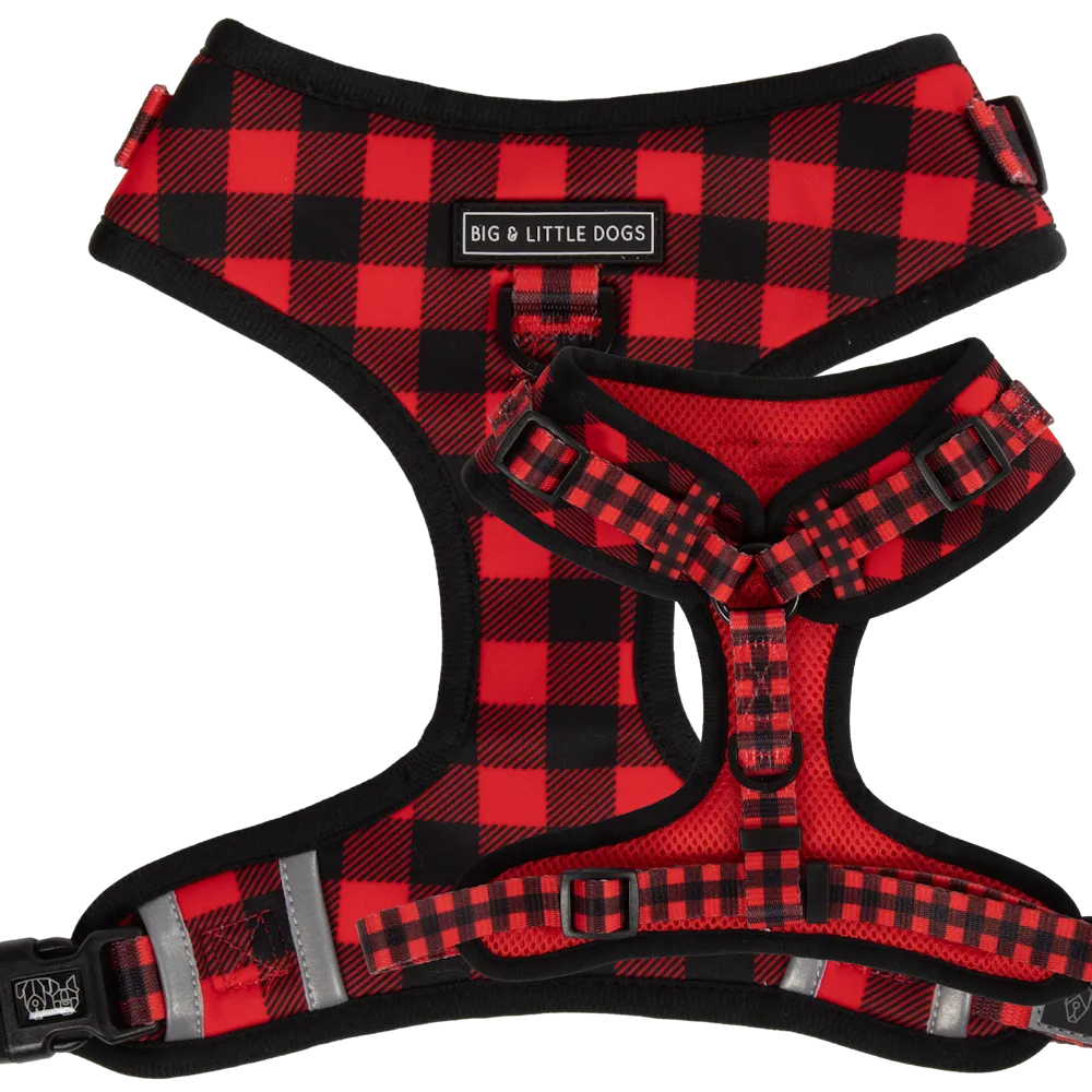 Big & Little Dogs Plaid to the Bone Adjustable Harness small animal food rabbit pellets hamster food guinea pig snacks small pet mix