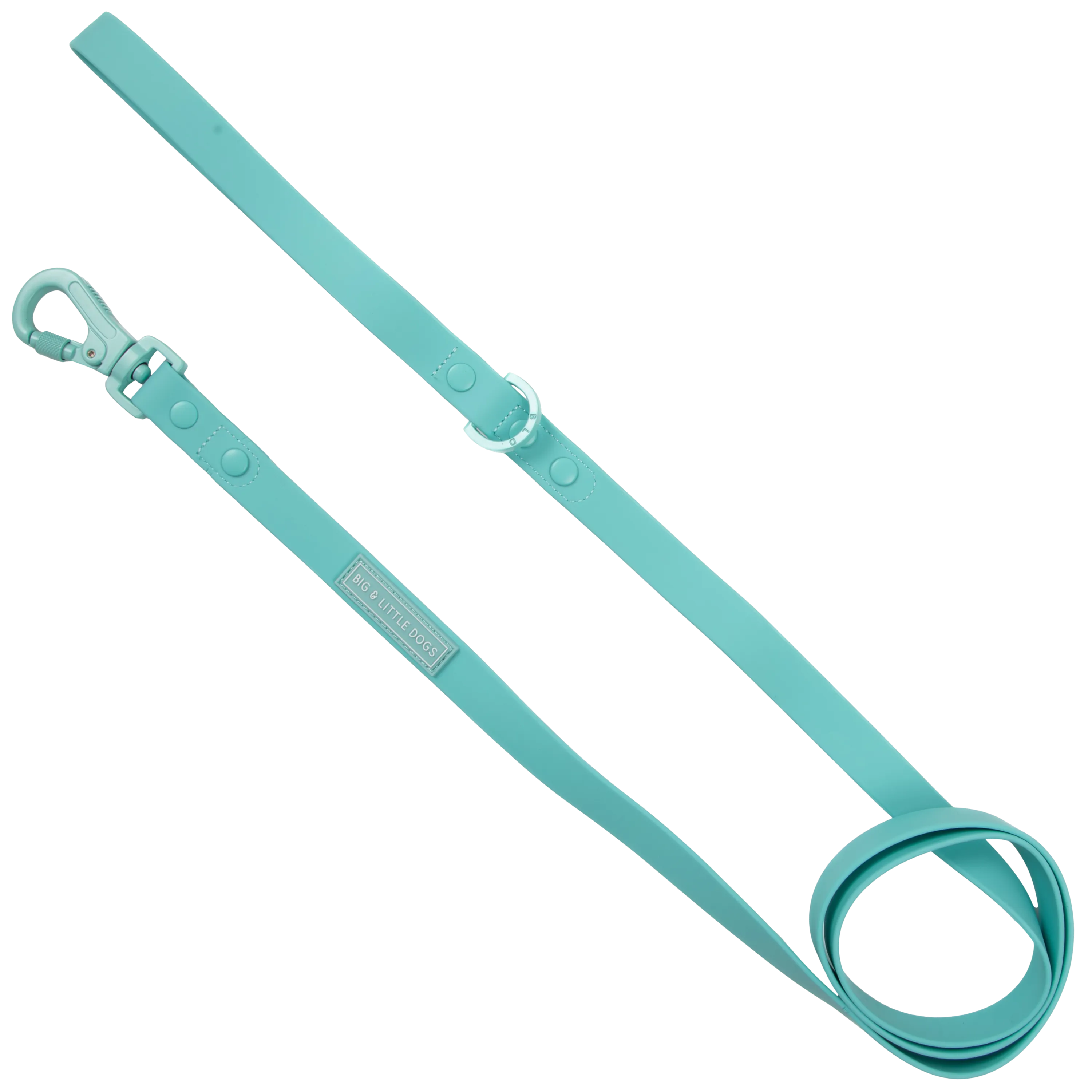 Big & Little Dogs Waterproof Leash - Aqua