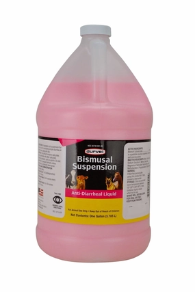 Bimusal Anti-Diarrheal Suspension, Gallon cat beds cat scratching post cat shampoo cat tunnel cat brush