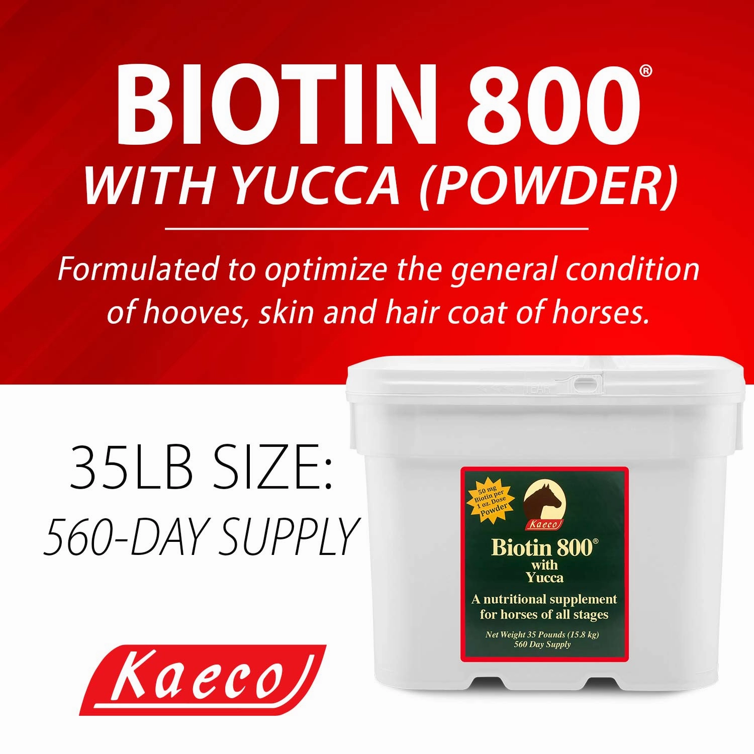 Biotin 800 Powder with Yucca Equine Supplement