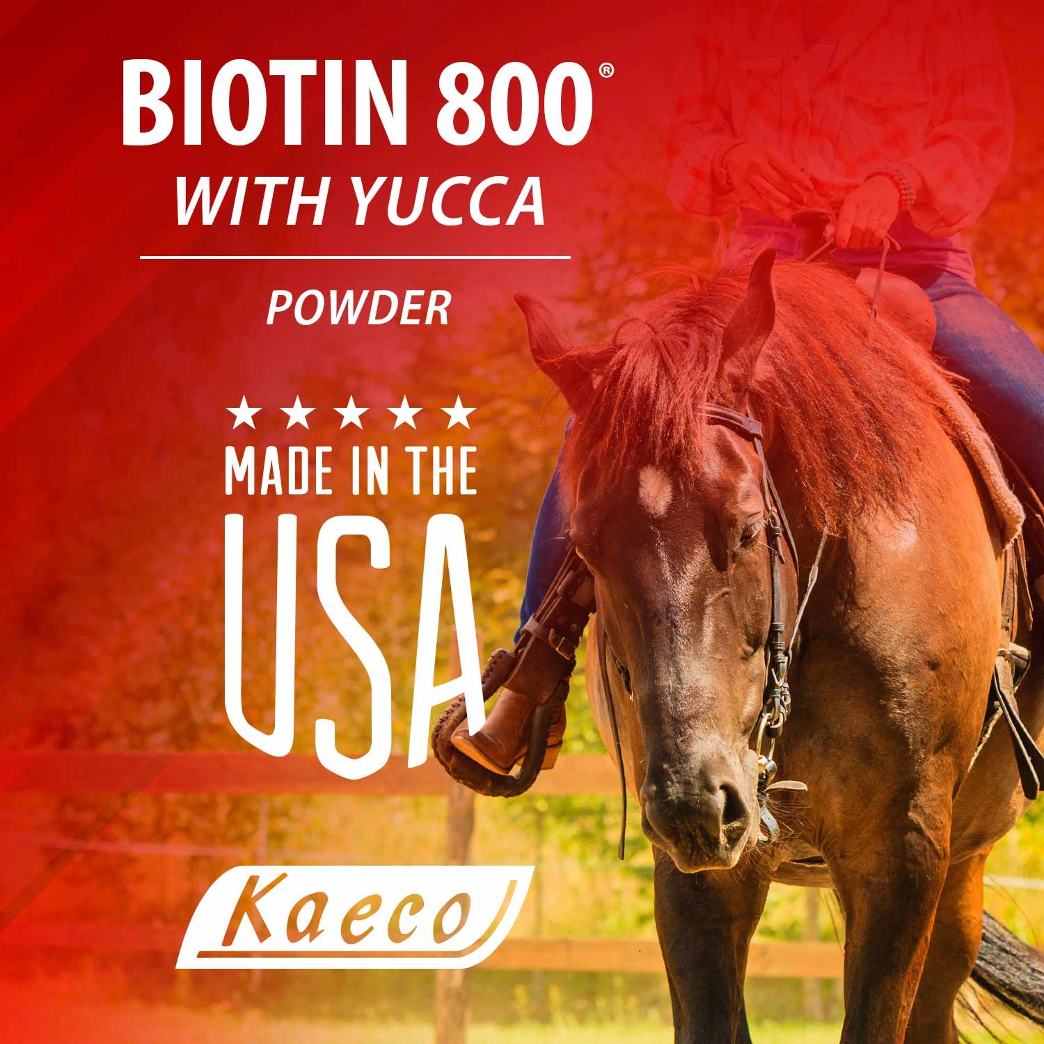 Biotin 800 Powder with Yucca Equine Supplement