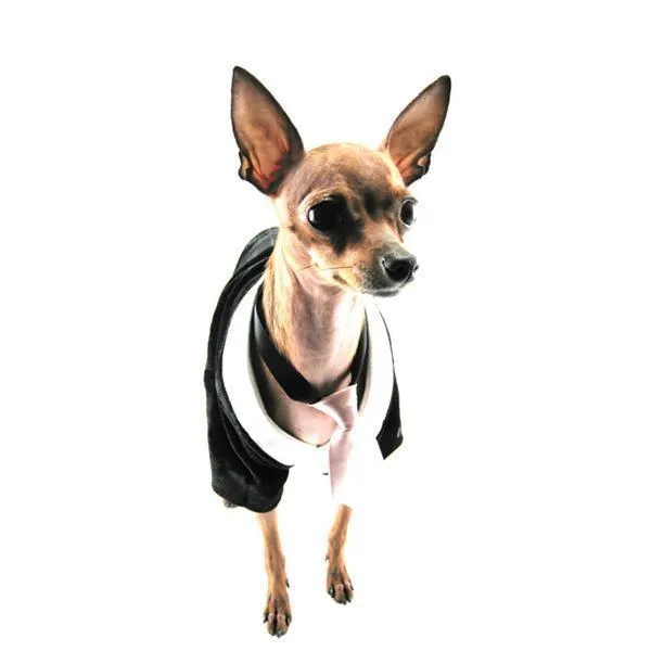 Black And Silver Velvet And Silk Dog Tux Medium treats for dogs dog biscuits dog reward treats organic dog snacks natural dog biscuits