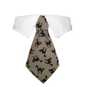 Blackie Dog Shirt Collar treats for dogs dog biscuits dog reward treats organic dog snacks natural dog biscuits