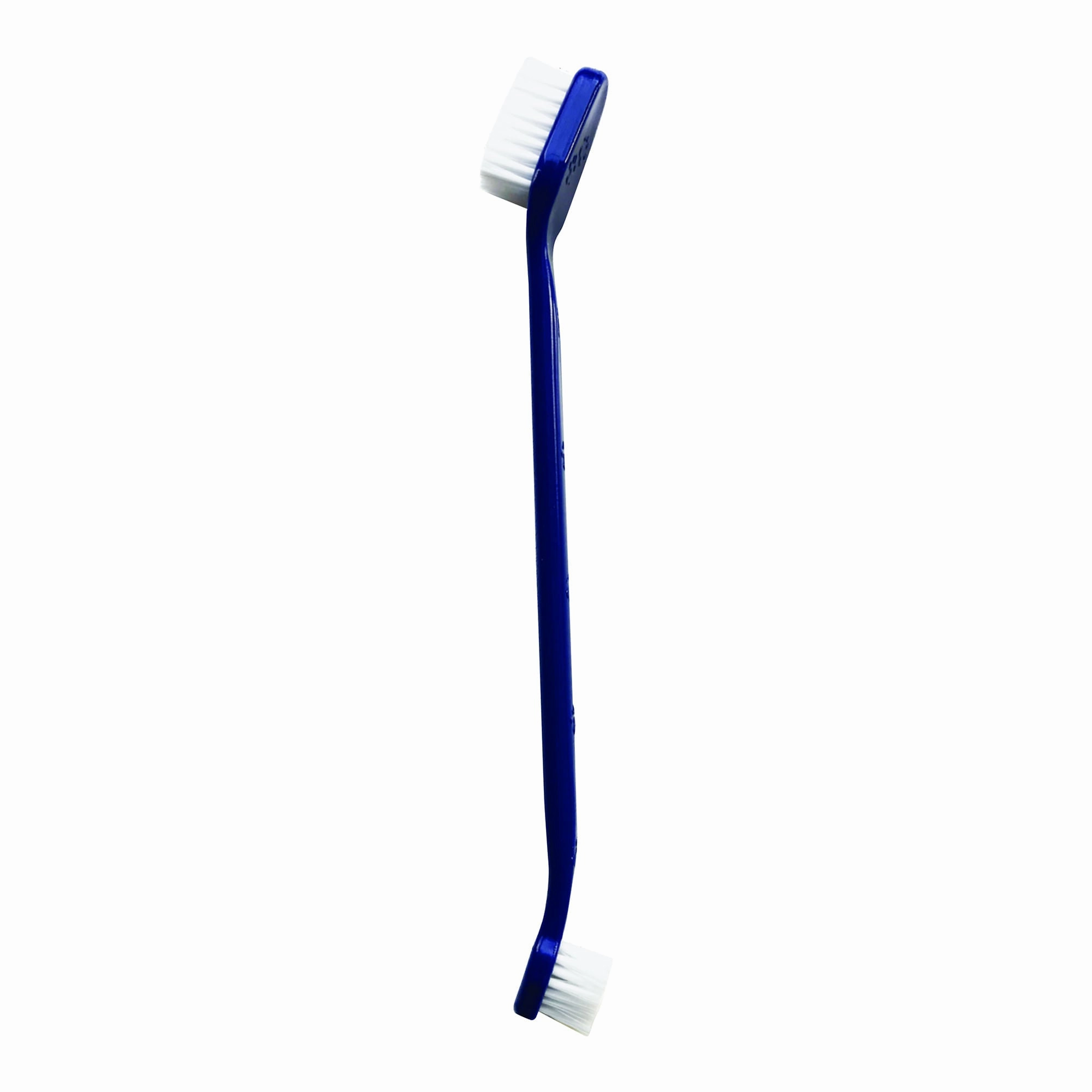 bluestem Toothbrushes, 2 pk