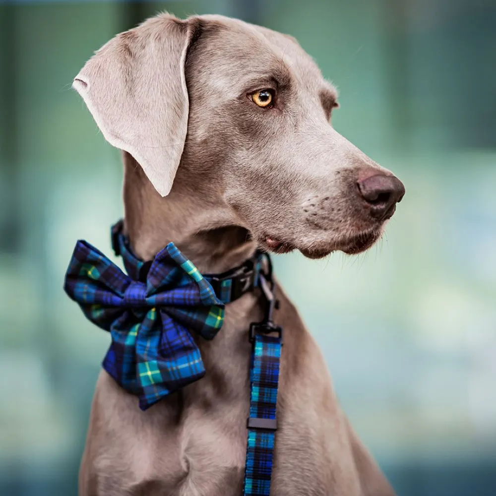 Boss & Olly Dog Collar (Forest Plaids)