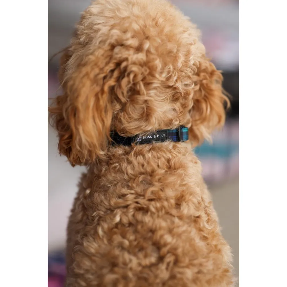 Boss & Olly Dog Collar (Forest Plaids)