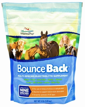 Bounce Back Multi-Species Electrolyte Supplement wet cat food canned food for cats gravy cat cans soft texture cat food wet pouches
