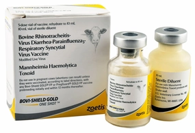 Bovi-Shield Gold One Shot Cattle Vaccine sheep feed sheep mineral sheep hay sheep pellets sheep salt block