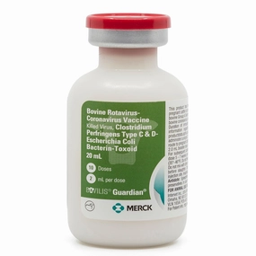 Bovilis Guardian Cattle Vaccine sheep feed sheep mineral sheep hay sheep pellets sheep salt block