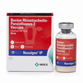 Bovilis Nasalgen IP Cattle Vaccine sheep feed sheep mineral sheep hay sheep pellets sheep salt block