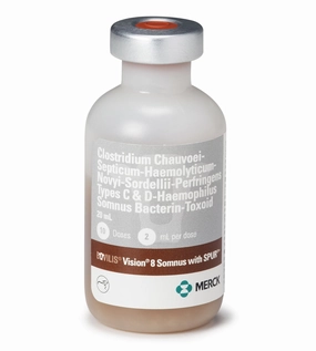 Bovilis Vision 8 Somnus with Spur Cattle Vaccine sheep feed sheep mineral sheep hay sheep pellets sheep salt block