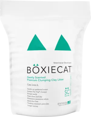 BoxieCat Premium Clumping Clay - Gently Scented - Cat Litter cat toys interactive cat toys cat teaser wand cat balls cat laser pointer