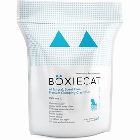 Boxiecat Premium Clumping Cat Litter 16lb kitten supplies kitten toys kitten food kitten litter box kitten bed