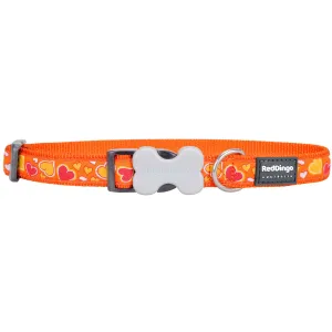 Breezy Love Orange Dog Collar dog leash harness set dog leash clip rope dog leash retractable leash