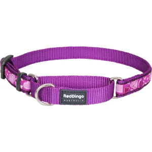 Breezy Love Purple Martingale dog leash harness set dog leash clip rope dog leash retractable leash