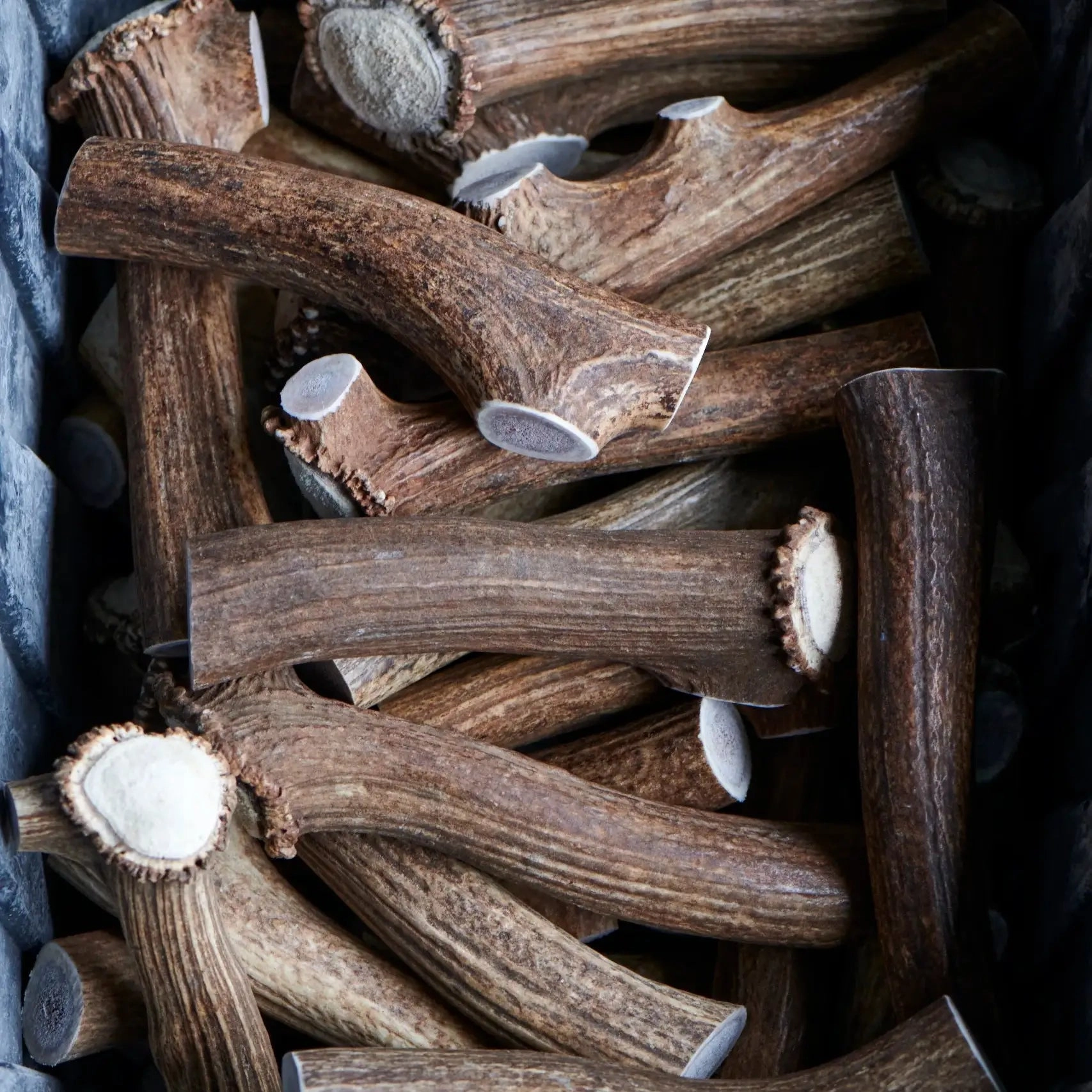 Buck Bone Organics Elk Antler Whole