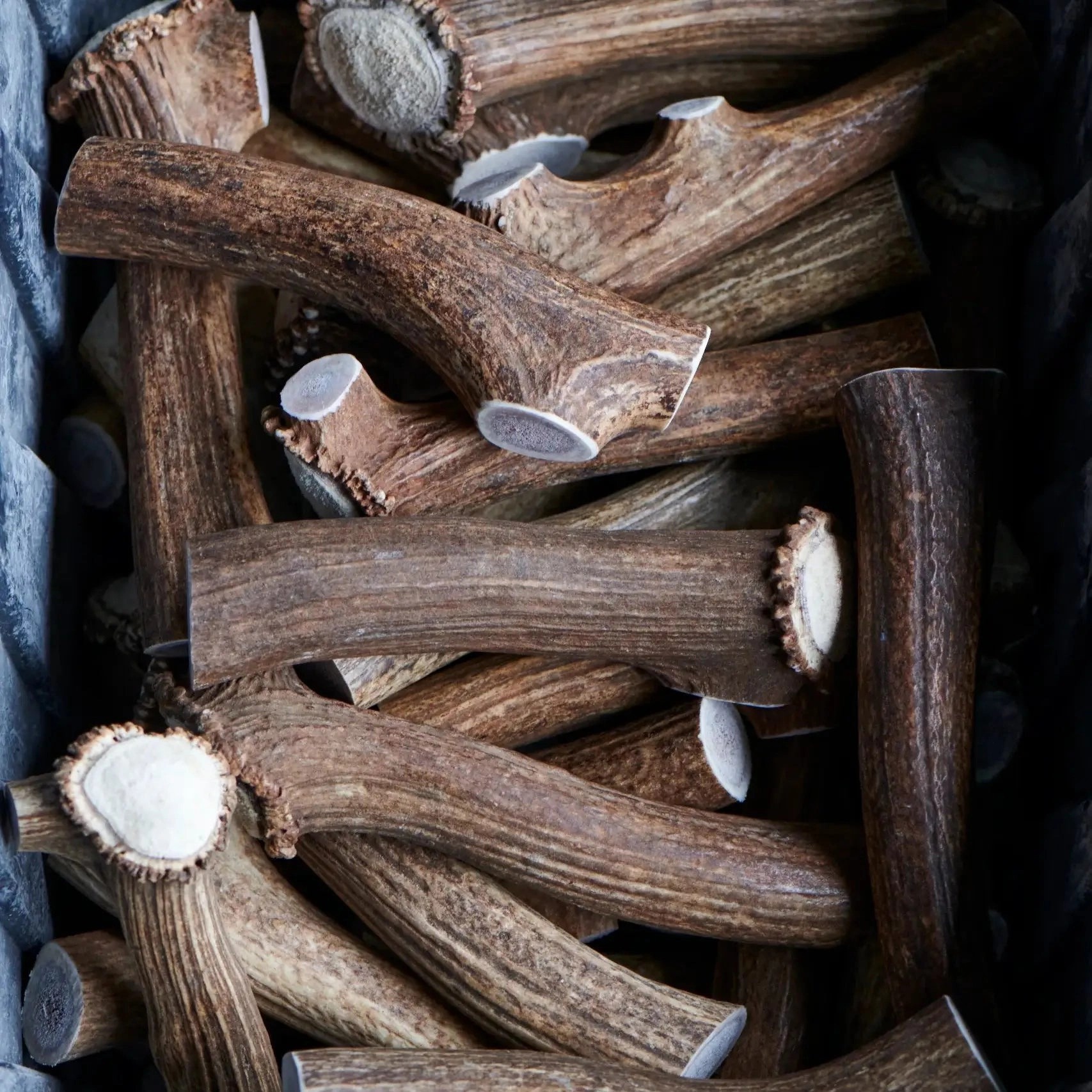Buck Bone Organics Elk Antler Whole