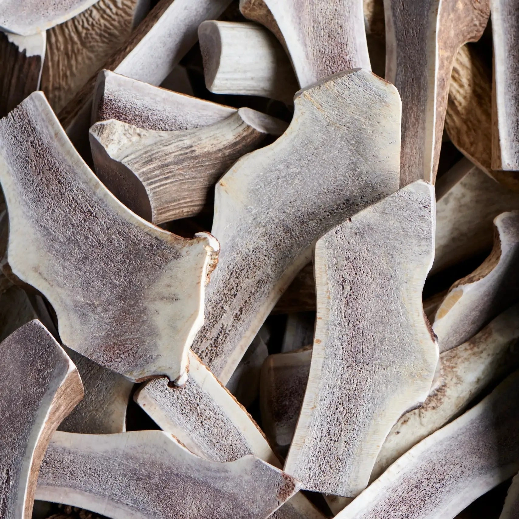 Buck Bone Organics Split Elk Antler