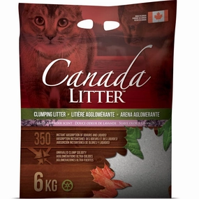 Canada Clumping Clay Cat Litter - Lavender Scent 6kg kitten supplies kitten toys kitten food kitten litter box kitten bed