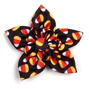 Candy Corn Dog Collar Flower treats for dogs dog biscuits dog reward treats organic dog snacks natural dog biscuits