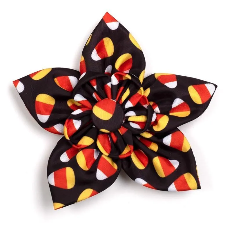 Candy Corn Dog Collar Flower treats for dogs dog biscuits dog reward treats organic dog snacks natural dog biscuits