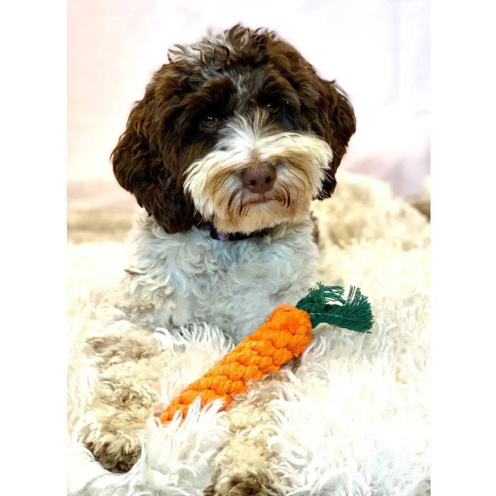 Carrot Rope Dog Toy
