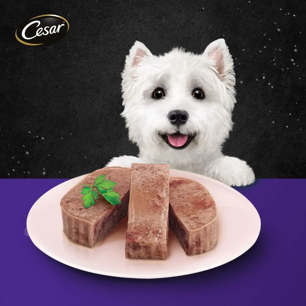 Cesar Chicken & Cheese Pate Tray Dog Food 100g