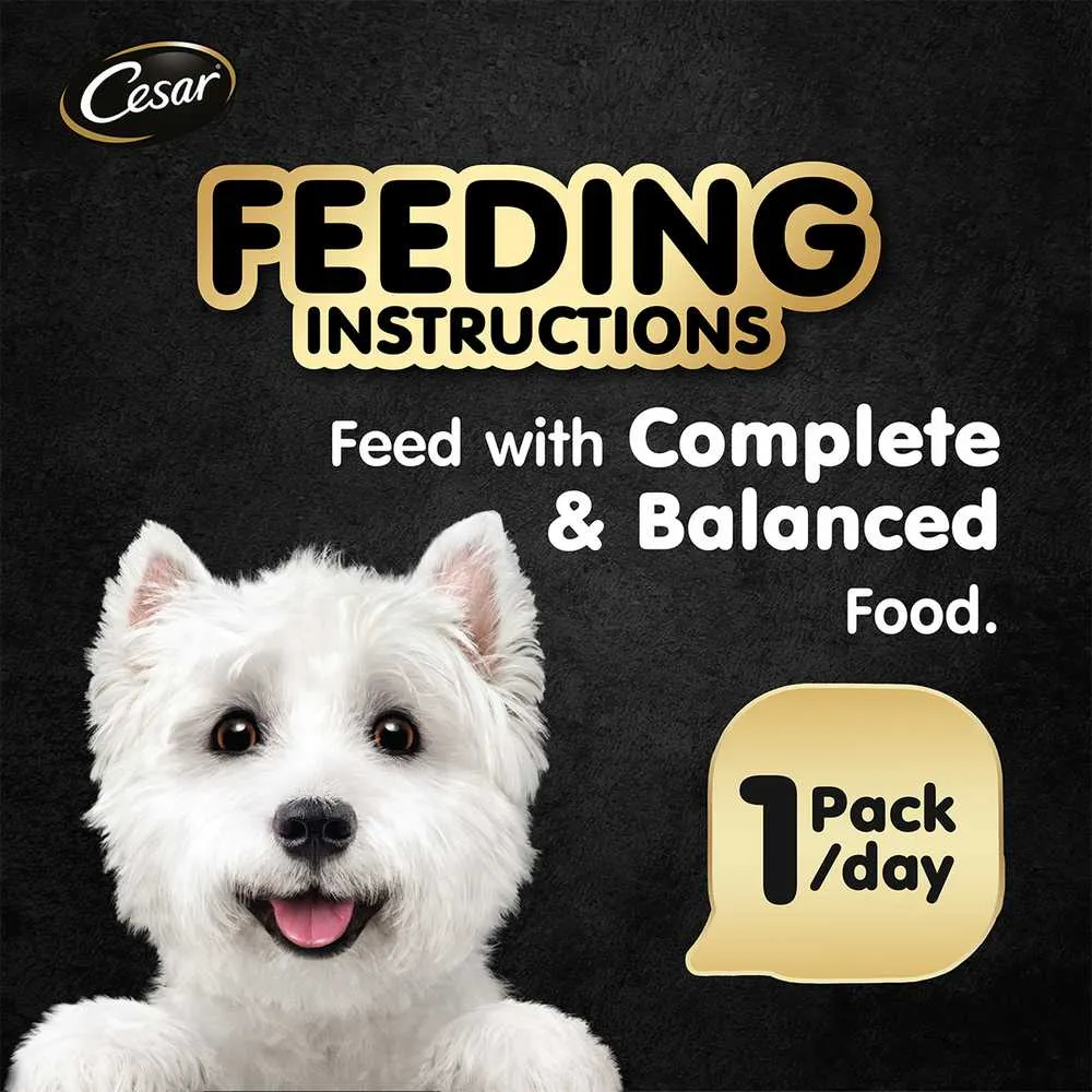 Cesar Prime Beef & Vegetables Pate Tray Dog Food 100g