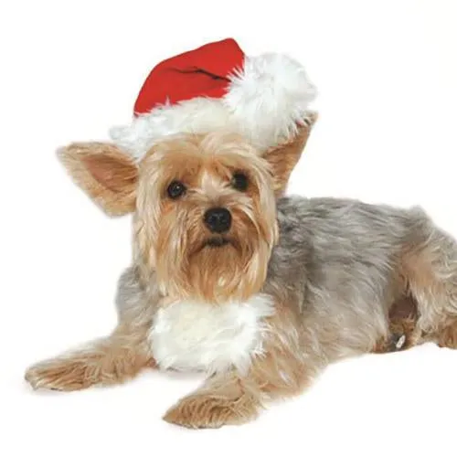 Christmas Santa Dog Hat