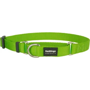 Classic Lime Green Martingale dog leash harness set dog leash clip rope dog leash retractable leash
