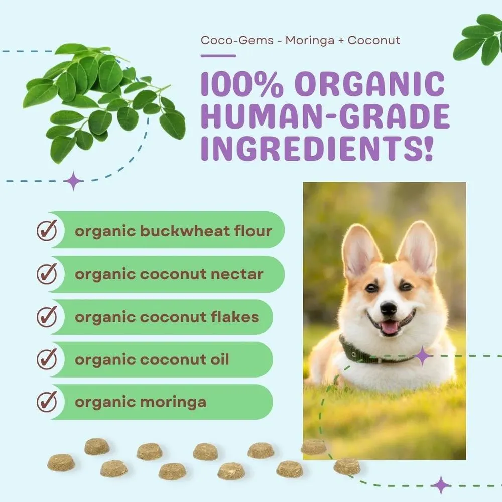 CocoTherapy Coco-Gems Moringa   Coconut Organic Grain-Free Dog Treats 5oz
