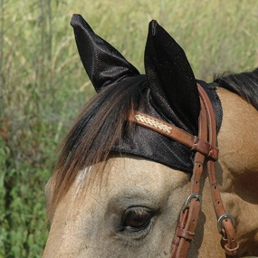 Comfort Ears Horse pet shampoo pet brush pet wipes pet scissors pets comb