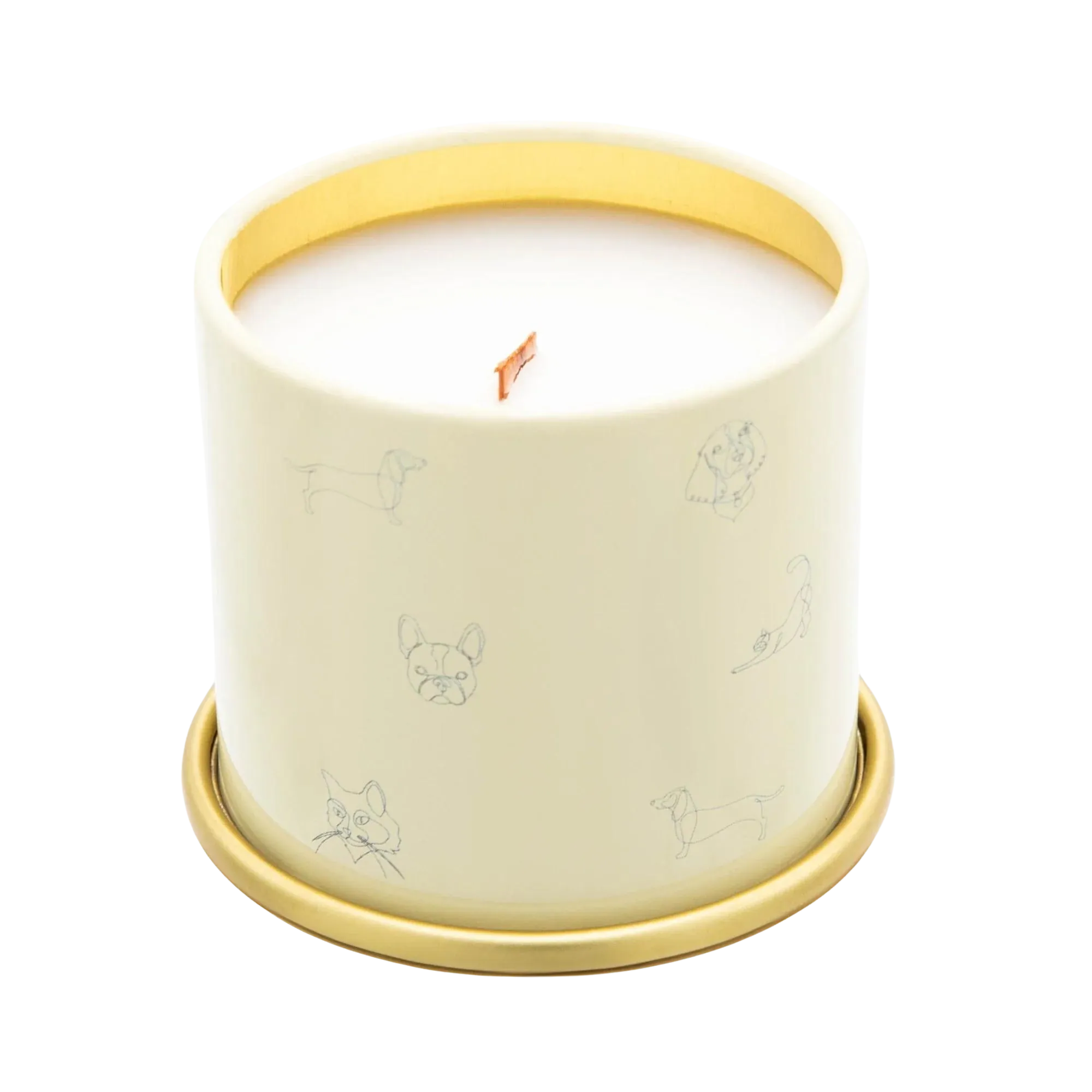 Companion Candles 3oz Mini Candle - You Got This! (Citrus/Tropical Fruits) dog pain relief hip joint supplement senior dog care pet arthritis aid dog skin supplement