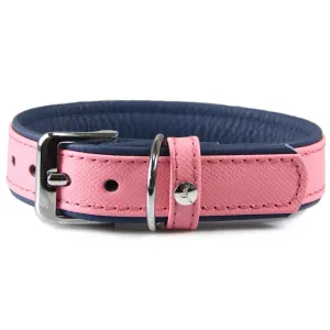 Das Lederband Firenze Leather Dog Collar (Candy/Sapphire) grain free dog food natural dog biscuits high protein dog food dog food pack dog meat sticks