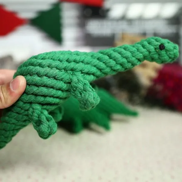 Dinosaur Rope Dog Toy
