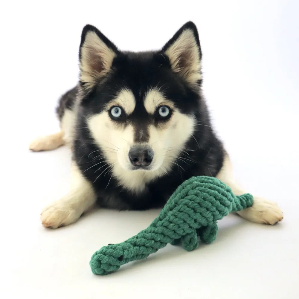 Dinosaur Rope Dog Toy
