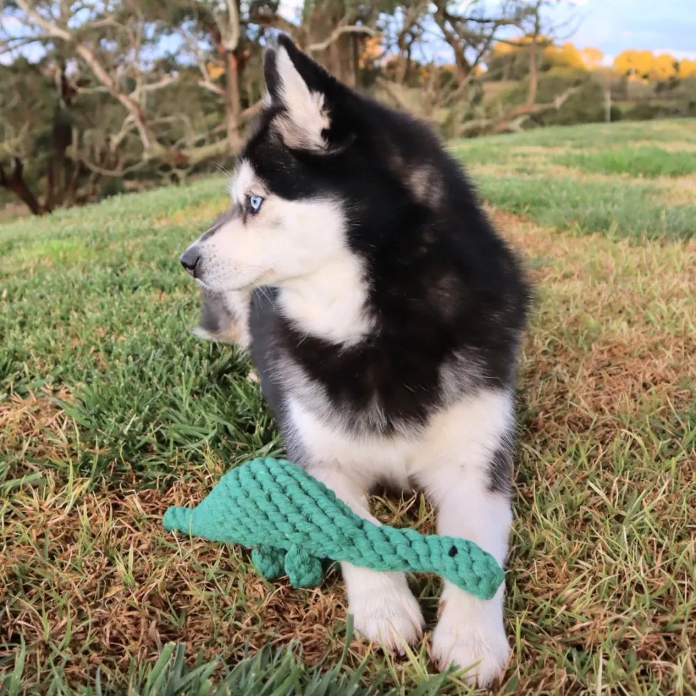 Dinosaur Rope Dog Toy