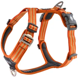 DOG Copenhagen Comfort Walk Air Dog Harness (Orange Sun) grain free dog food natural dog biscuits high protein dog food dog food pack dog meat sticks