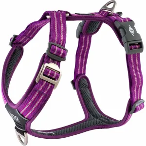 DOG Copenhagen Comfort Walk Air Dog Harness (Purple Passion) grain free dog food natural dog biscuits high protein dog food dog food pack dog meat sticks