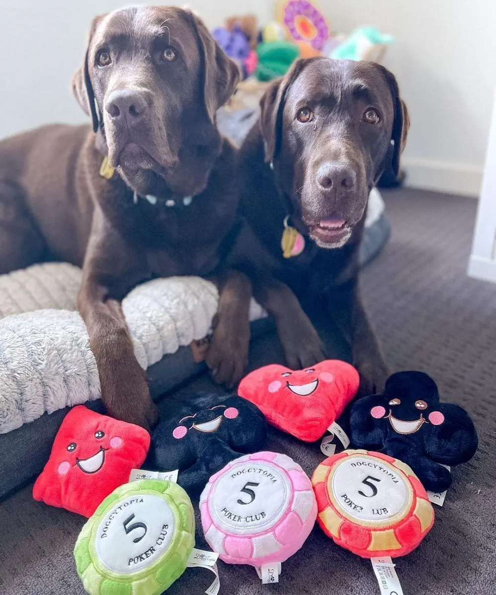 DoggyTopia Poker Club - Club Dog Toy