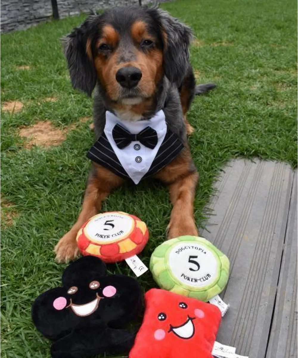 DoggyTopia Poker Club - Poker Chips Dog Toy Green