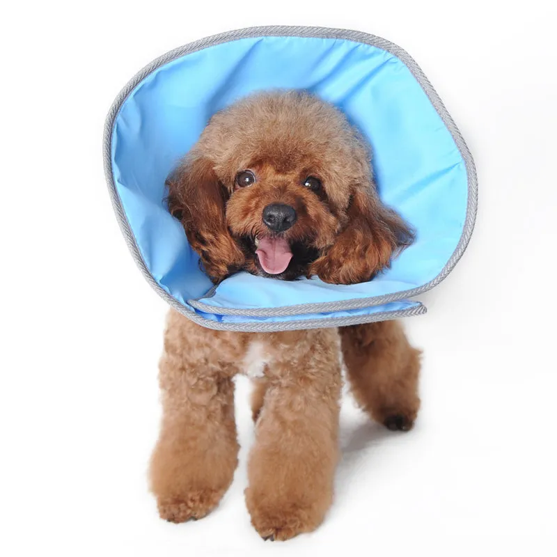 DOGO Get Better Soft Recovery Collar Blue