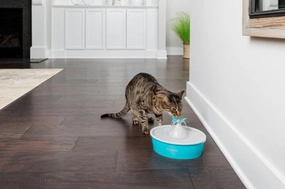 Drinkwell Butterfly Pet Fountain cat beds cat scratching post cat shampoo cat tunnel cat brush