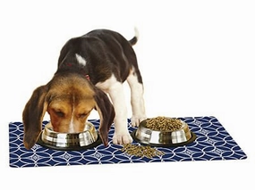 Drymate Pet Bowl Placemat, 12" x 20" cat grooming cat shampoo cat conditioner cat comb cat grooming glove