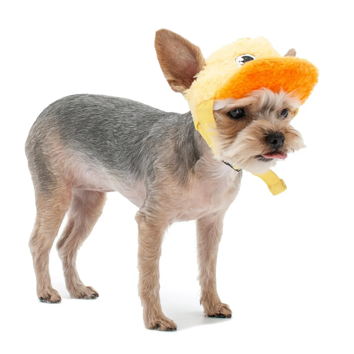 Duck Baseball Dog Hat