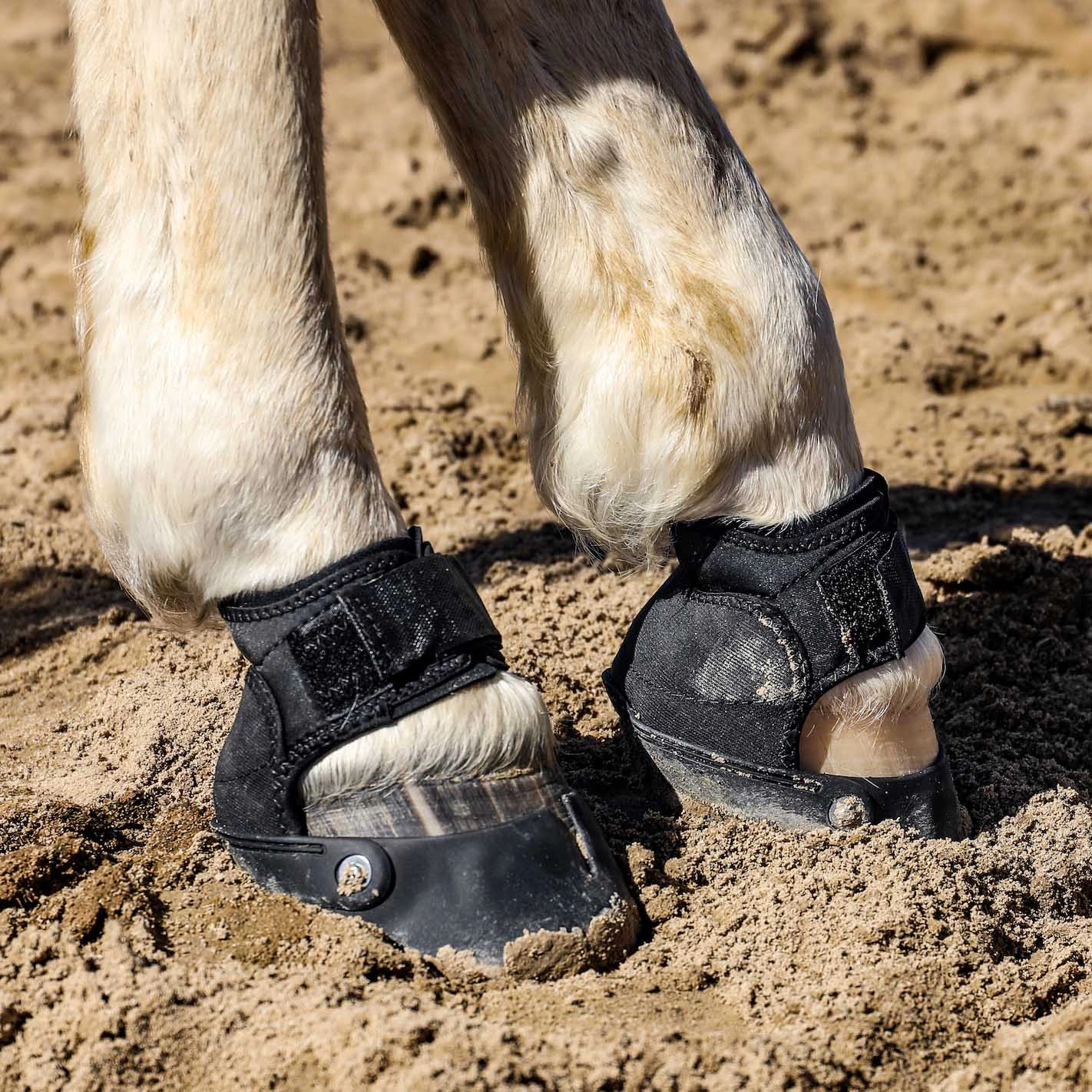Easyboot Glove Soft Horse Hoof Boot, Single