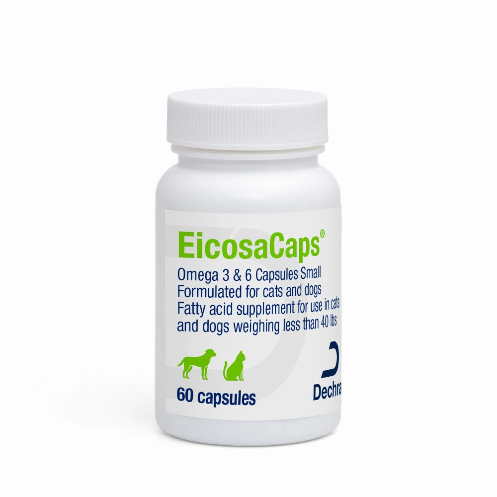 EicosaCaps Omega 3 & 6 for Dogs and Cats cat climbing tree cat hammock cat steps cat grooming kit cat safety gate